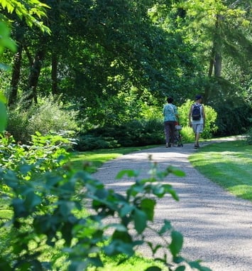 Découverte du parc du Moulin à Tan
