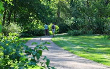 Découverte du parc du Moulin à Tan