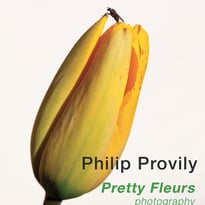 Pretty Fleurs