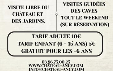 Visite du château d'Ancy-le-Franc et de ses caves