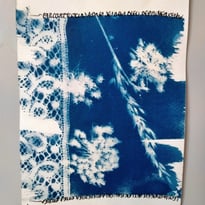 Initiation au cyanotype