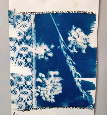 Initiation au cyanotype