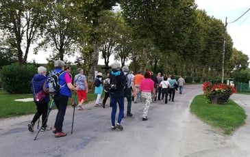 Balade, randonnée sur les venelles de Rogny