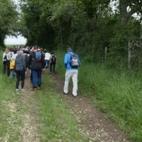 Concert de clôture des Chemins d'artistes