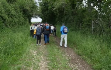 Concert de clôture des Chemins d'artistes
