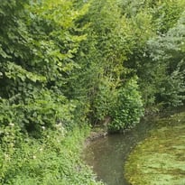 L'eau: un patrimoine précieux à préserver