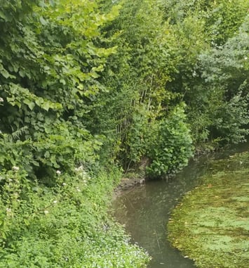 L'eau: un patrimoine précieux à préserver