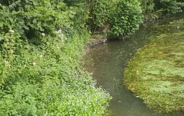 L'eau: un patrimoine précieux à préserver