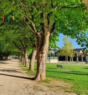 Visite du Pâtis et le kiosque à Baptiste