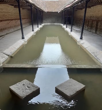Visite du lavoir de Dannemoine