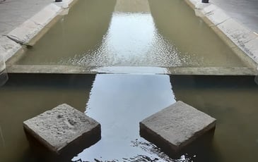 Visite du lavoir de Dannemoine