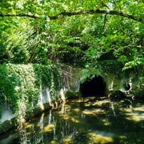 Balade au fil de l'eau
