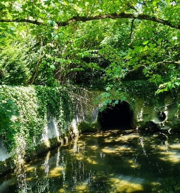 Balade au fil de l'eau