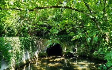 Balade au fil de l'eau