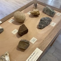 Découverte des minéraux et fossiles locaux