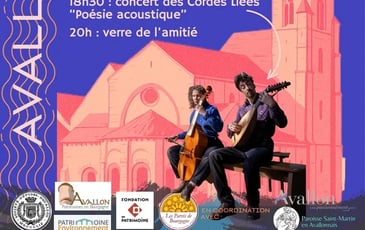 Projection en avant-première du film sur la Collégiale Saint-Lazare d'Avallon, entre Ciel et Terre